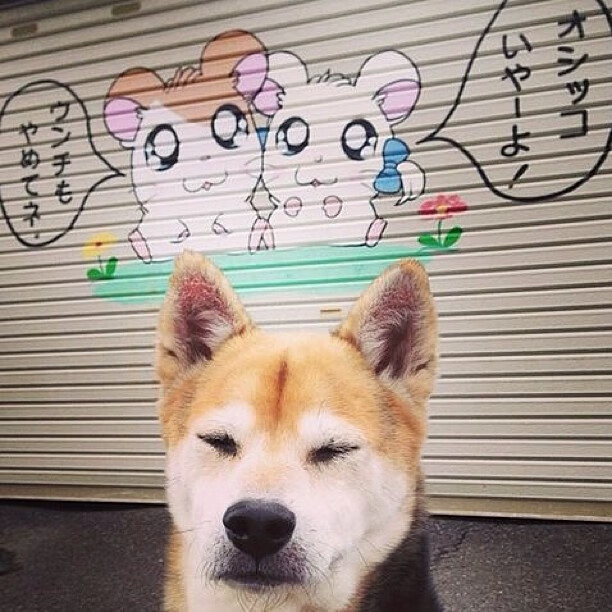 中国足球国家队攻防战术针对性训练取得进展,足球攻防战术原则