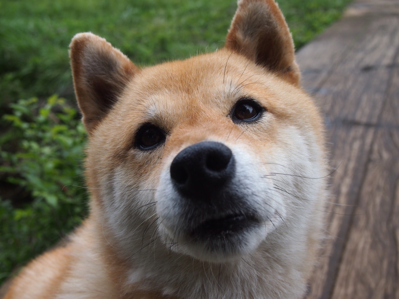 爱游戏官网app-林丹自述退役后生活更关注内在成长，林丹退役介绍