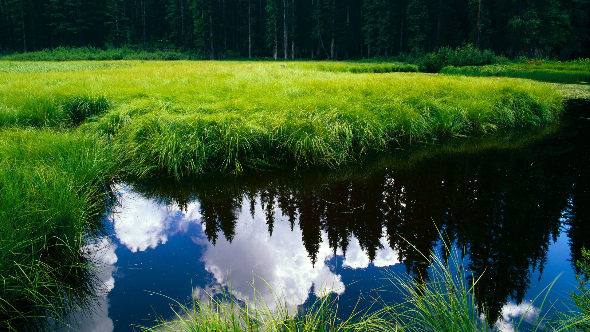 火箭锋线球员在扣篮训练中表现爆发力十足，火箭试训中锋