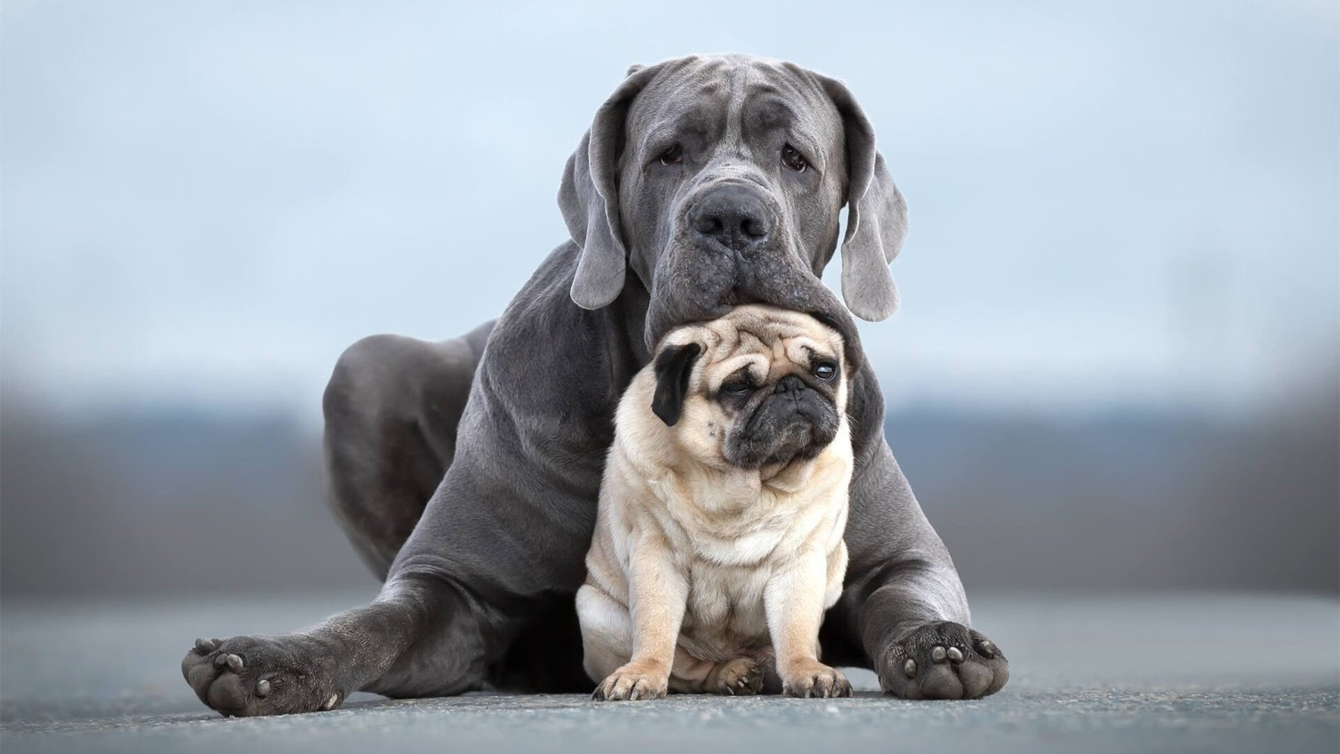 爱游戏下载-英超争冠季：悬念持续升温，精彩无限！，英超冠军悬念