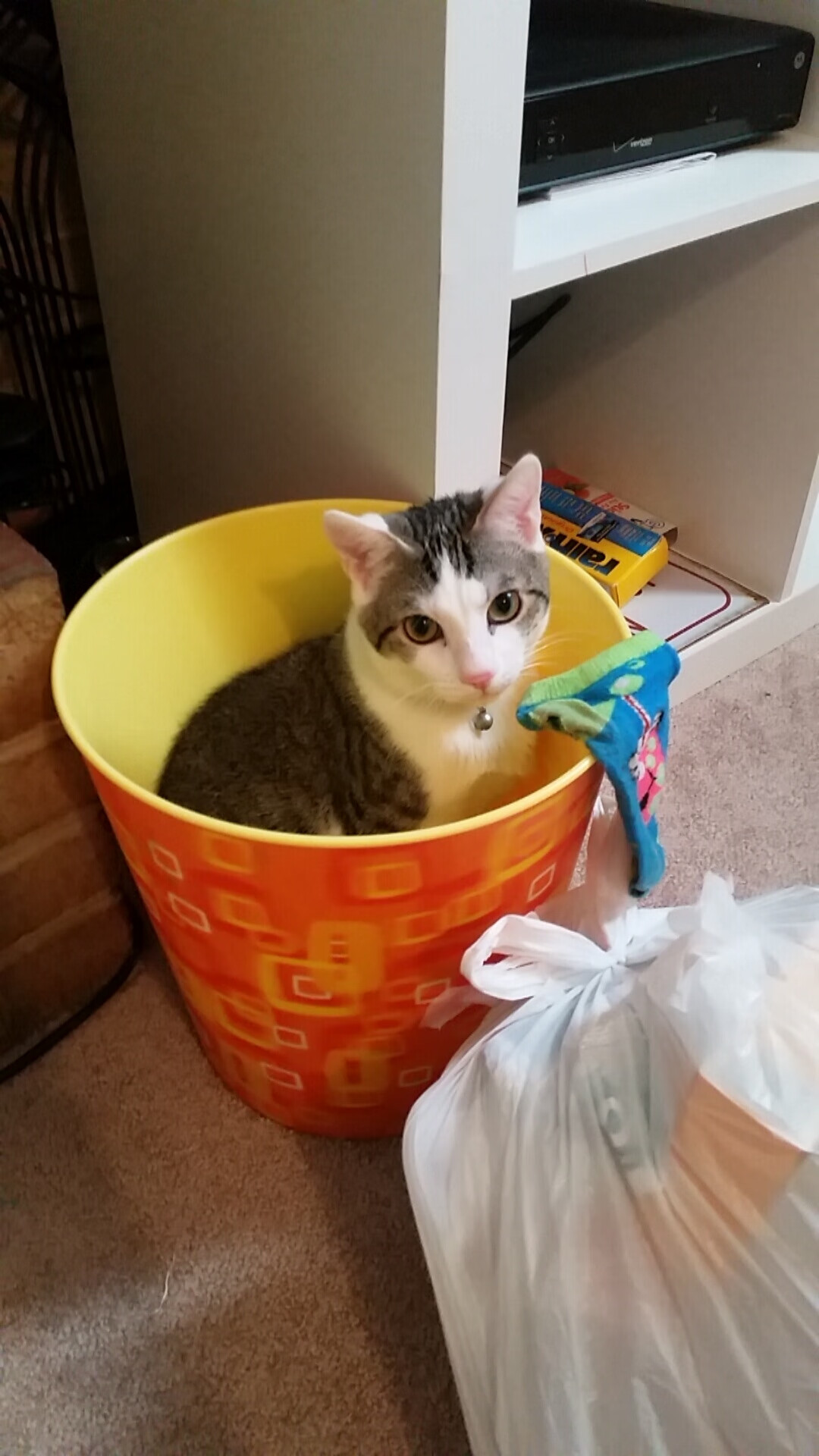 赞比亚男篮在非洲预赛中力争突破,体育水平不断提升,赞比亚球星